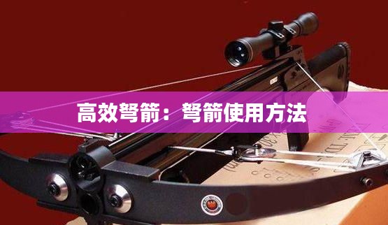 高效弩箭：弩箭使用方法 