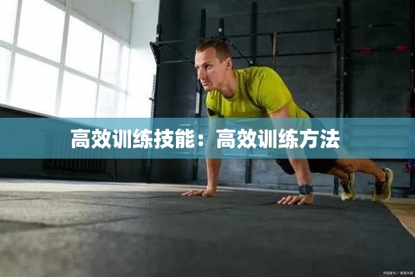 高效训练技能：高效训练方法 