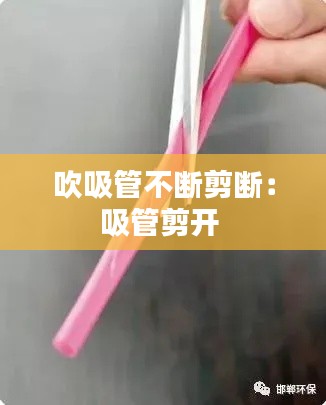 兽聚鸟散 第2页