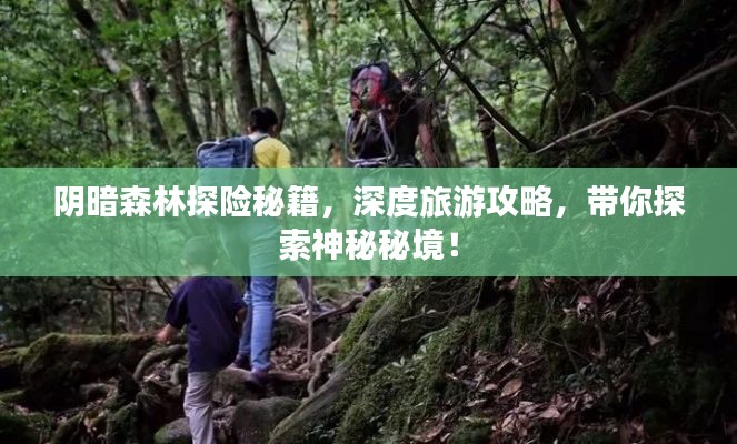 阴暗森林探险秘籍，深度旅游攻略，带你探索神秘秘境！