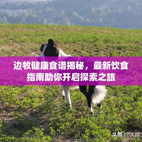 配送流程 第85页