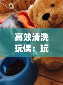 高效清洗玩偶：玩偶怎么清洗干净 