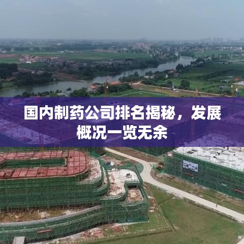 国内制药公司排名揭秘，发展概况一览无余
