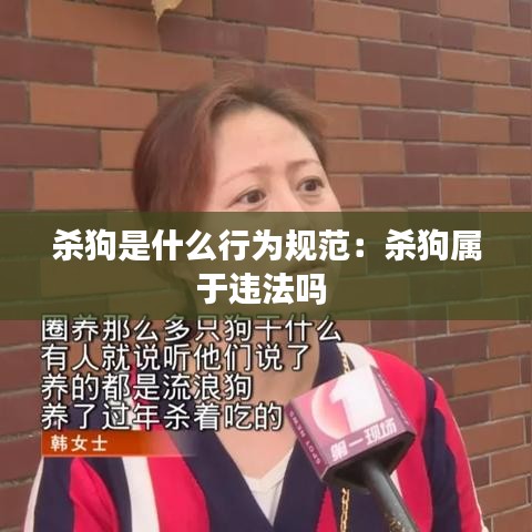 杀狗是什么行为规范：杀狗属于违法吗 