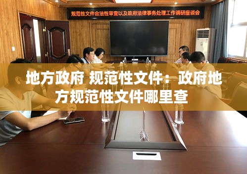 地方政府 规范性文件：政府地方规范性文件哪里查 