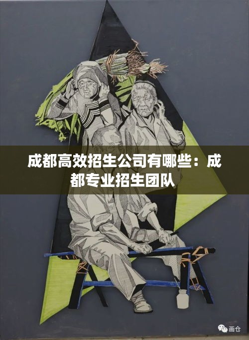 成都高效招生公司有哪些：成都专业招生团队 