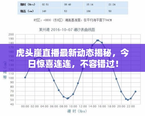 虎头崖直播最新动态揭秘，今日惊喜连连，不容错过！