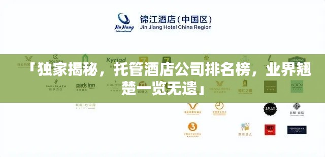 夯雀儿先飞 第2页