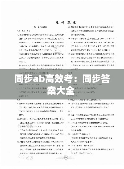 同步ab高效考：同步答案大全 