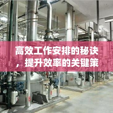 高效工作安排的秘诀，提升效率的关键策略助你事业飞跃！