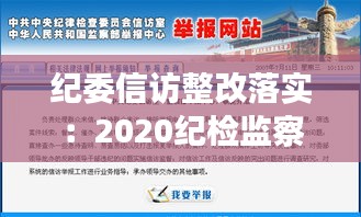 纪委信访整改落实：2020纪检监察信访分析材料 