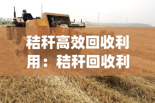 秸秆高效回收利用：秸秆回收利用项目政策 