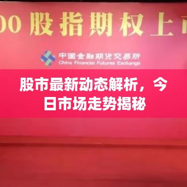 股市最新动态解析，今日市场走势揭秘