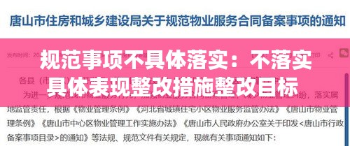 规范事项不具体落实：不落实具体表现整改措施整改目标 