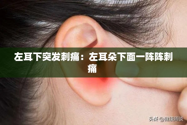 资料大全 第86页