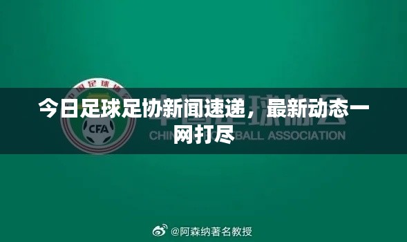 今日足球足协新闻速递，最新动态一网打尽