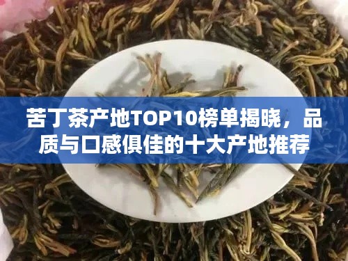 苦丁茶产地TOP10榜单揭晓，品质与口感俱佳的十大产地推荐