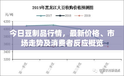 今日豆制品行情，最新价格、市场走势及消费者反应概览