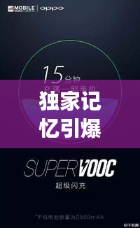 独家记忆引爆全网热议，网红热播现象背后的影响力与启示