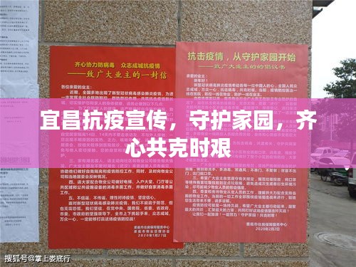 宜昌抗疫宣传，守护家园，齐心共克时艰