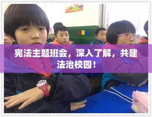 宪法主题班会，深入了解，共建法治校园！