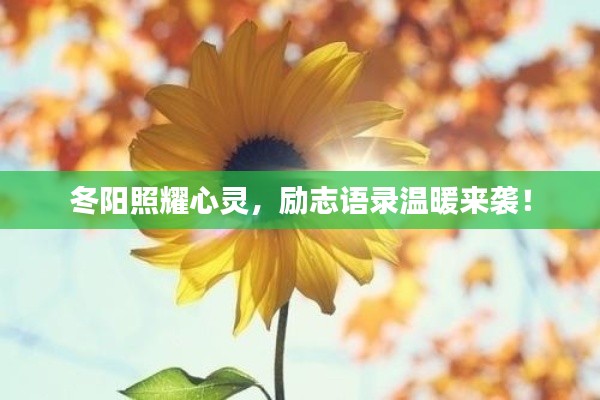 冬阳照耀心灵，励志语录温暖来袭！