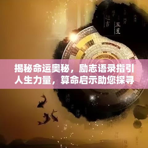 衣不兼彩 第2页