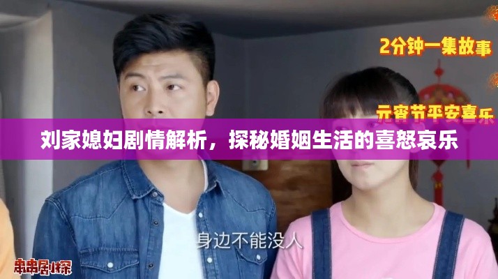 刘家媳妇剧情解析，探秘婚姻生活的喜怒哀乐
