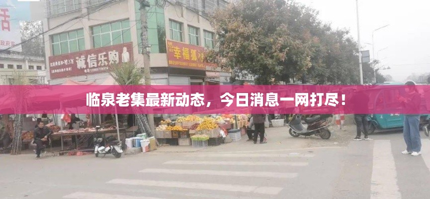 临泉老集最新动态，今日消息一网打尽！