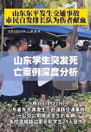 山东学生突发死亡案例深度分析与探讨