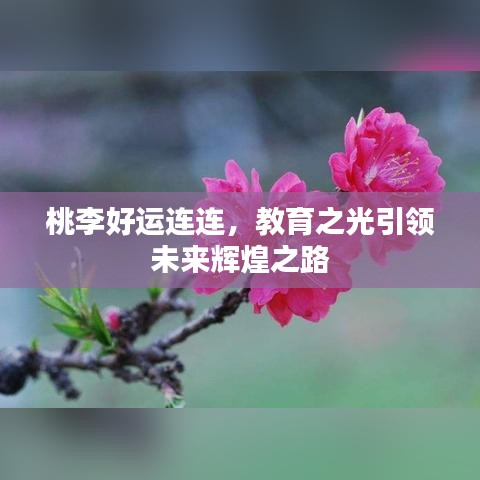 桃李好运连连，教育之光引领未来辉煌之路