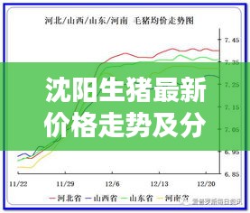 沈阳生猪最新价格走势及分析，市场动态与影响因素探讨
