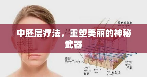 中胚层疗法，重塑美丽的神秘武器
