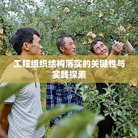 工程组织结构落实的关键性与实践探索