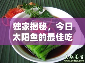 独家揭秘，今日太阳鱼的最佳吃法，烹饪图片与技巧大揭秘！