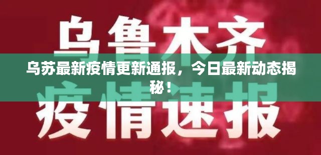 乌苏最新疫情更新通报，今日最新动态揭秘！