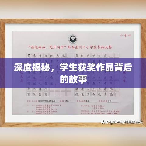 深度揭秘，学生获奖作品背后的故事