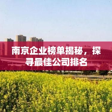 南京企业榜单揭秘，探寻最佳公司排名