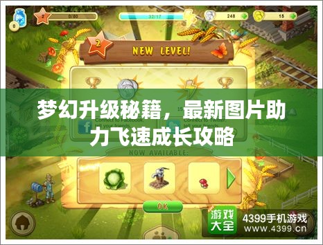 梦幻升级秘籍，最新图片助力飞速成长攻略