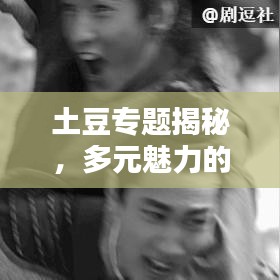 土豆专题揭秘，多元魅力的无限可能