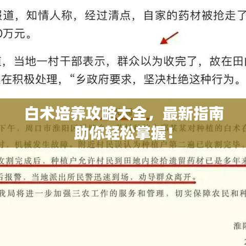 白术培养攻略大全，最新指南助你轻松掌握！