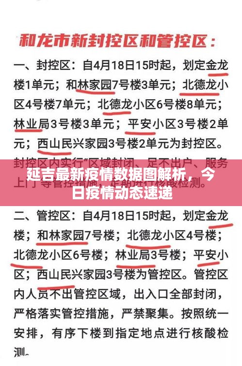 延吉最新疫情数据图解析，今日疫情动态速递