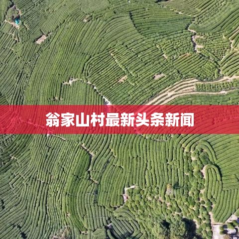 翁家山村最新头条新闻