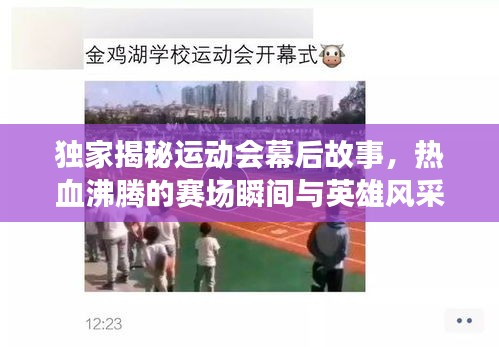独家揭秘运动会幕后故事，热血沸腾的赛场瞬间与英雄风采深度报道