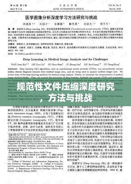 规范性文件压缩深度研究，方法与挑战