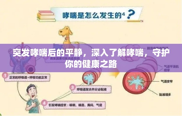 突发哮喘后的平静，深入了解哮喘，守护你的健康之路
