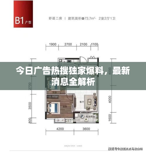 今日广告热搜独家爆料，最新消息全解析