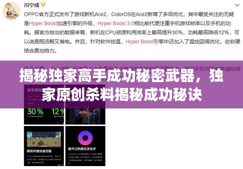 揭秘独家高手成功秘密武器，独家原创杀料揭秘成功秘诀