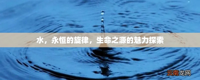 水，永恒的旋律，生命之源的魅力探索