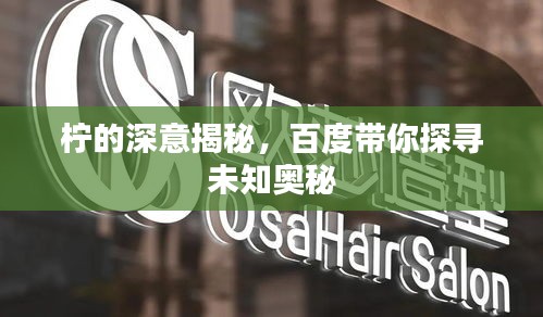 柠的深意揭秘，百度带你探寻未知奥秘